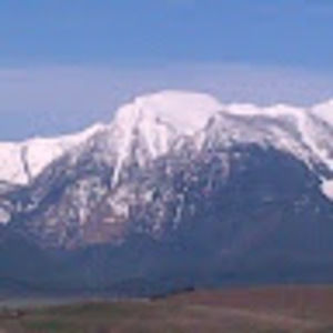 Meet your Posher, Heidi